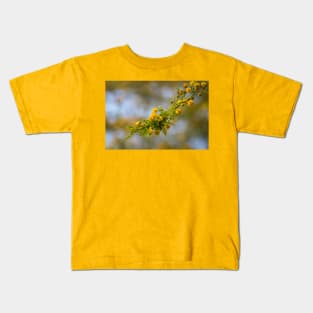 Flowering Huisache Branch Kids T-Shirt